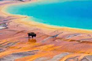 parc national Yellowstone