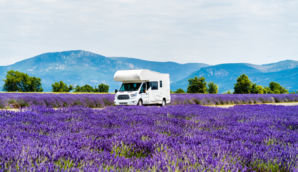 Camping en Provence autour des lavandes