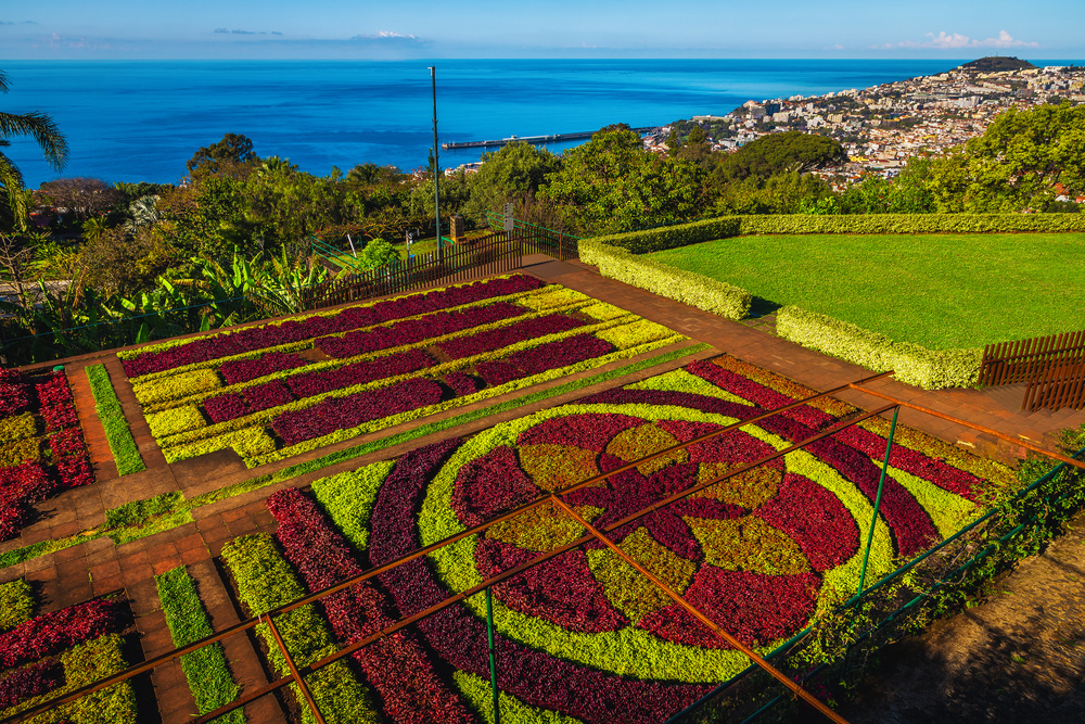 Jardin à fleurs à Madère