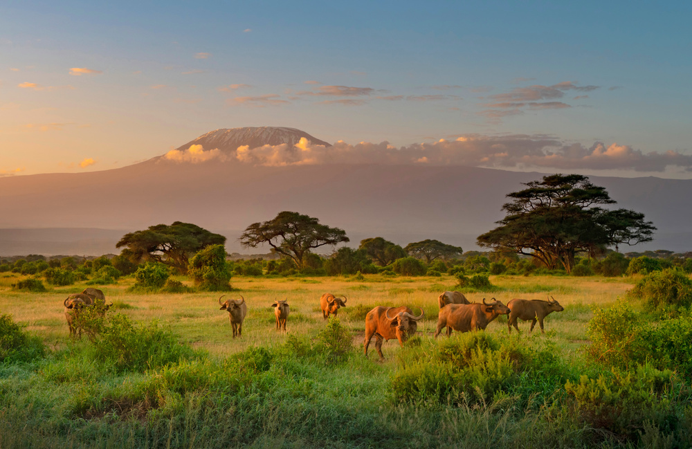 Montagne au Kenya à Amboseli