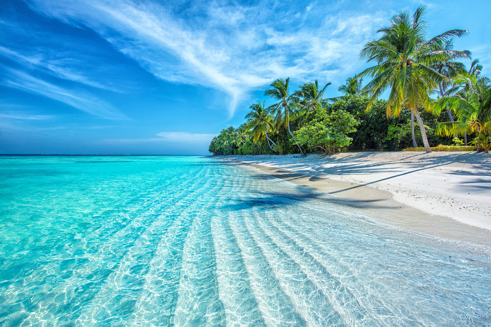 Plage tropical aux Maldives