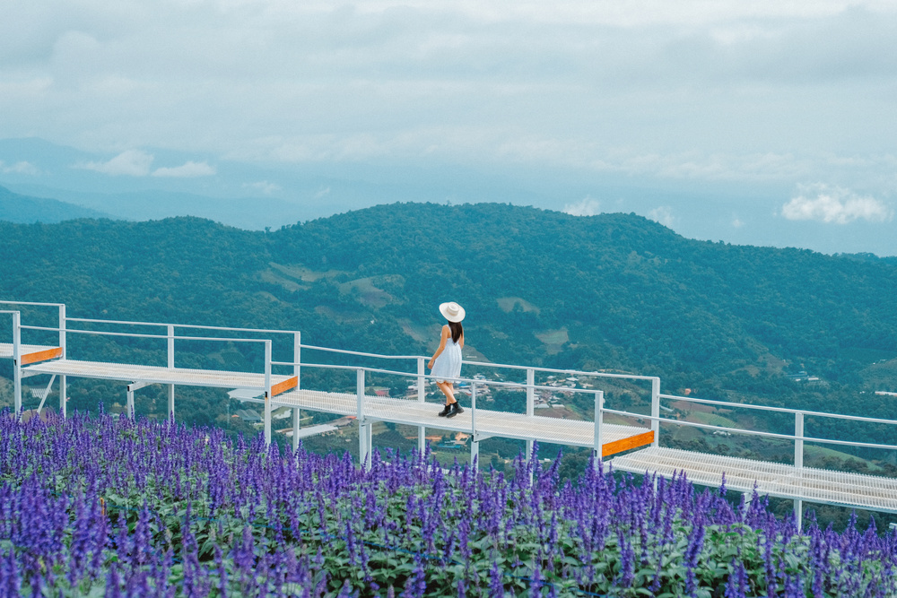 Touriste à Chiang Mai autour des fleurs