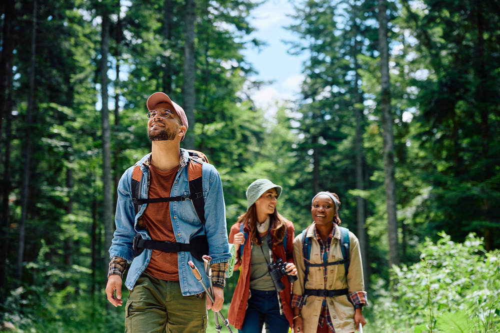 Aventure entre amis dans la forêt
