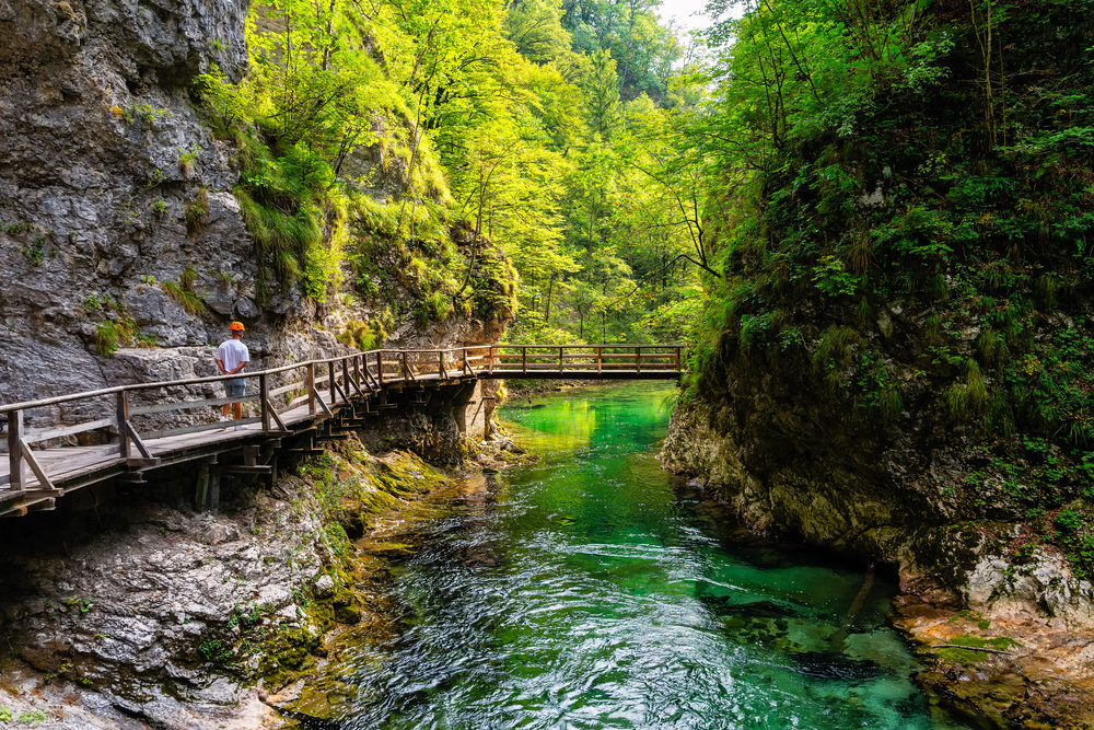 Lac de Bled à Vintgar en Slovénie