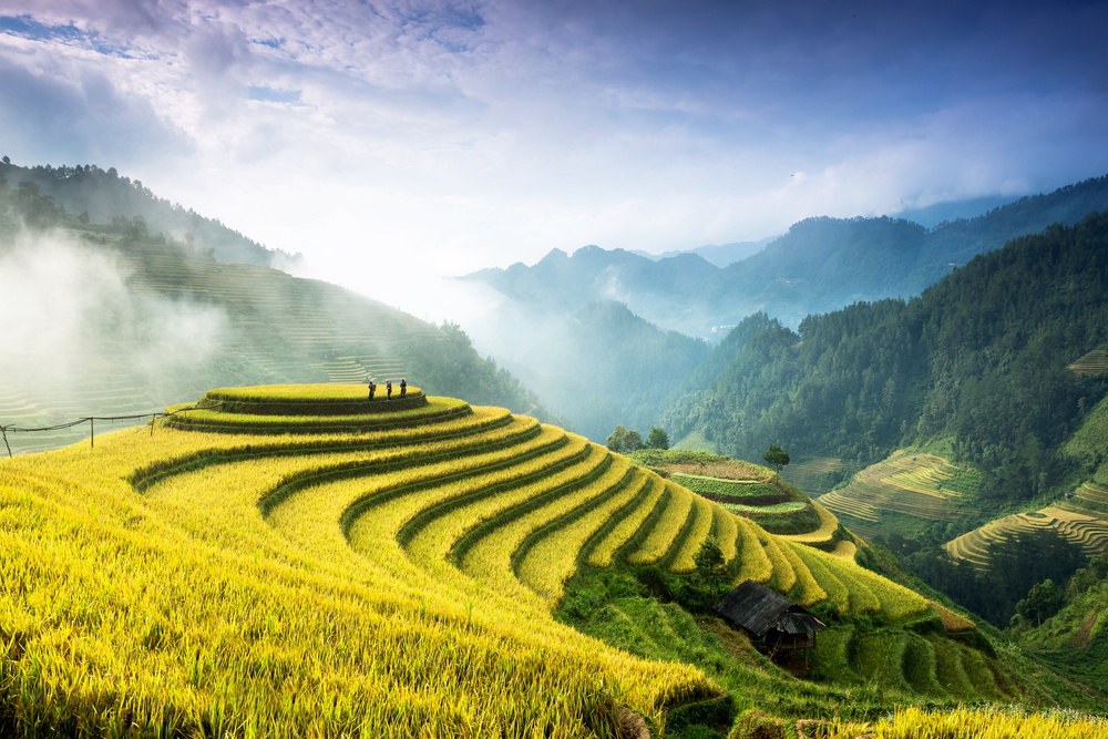 Rizières en terrasses à Mu Cang Chai, Vietnam