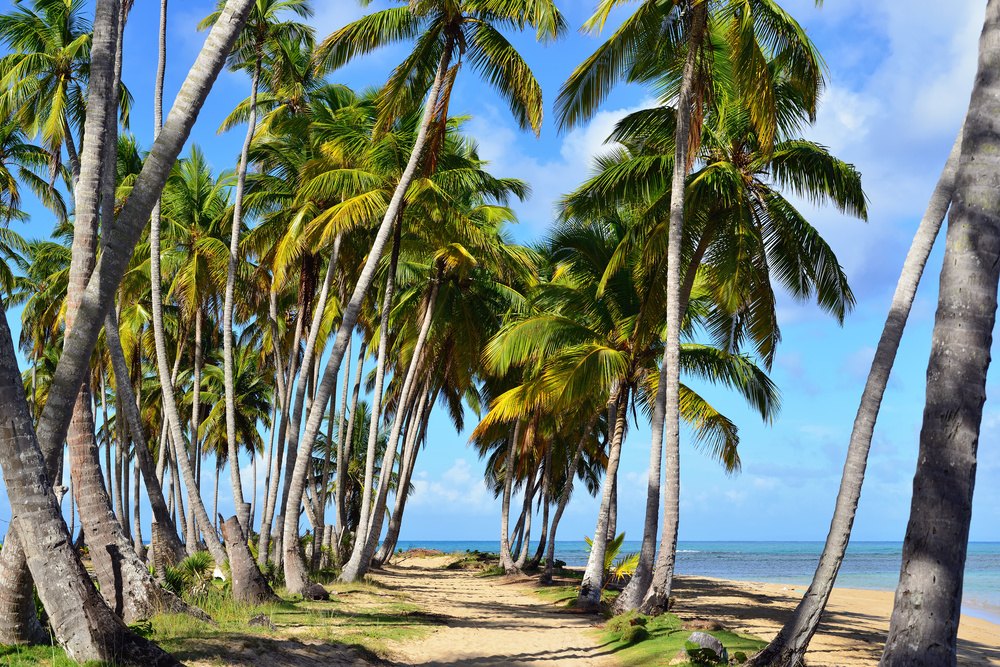 Plage Bonita - République dominicaine