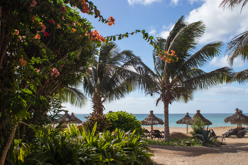 Plage Santa Maria, Cap-Vert