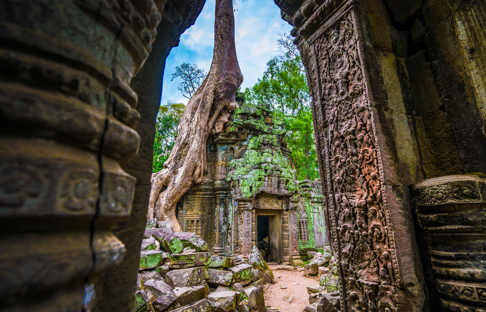 Ta prohm temple au Cambodge