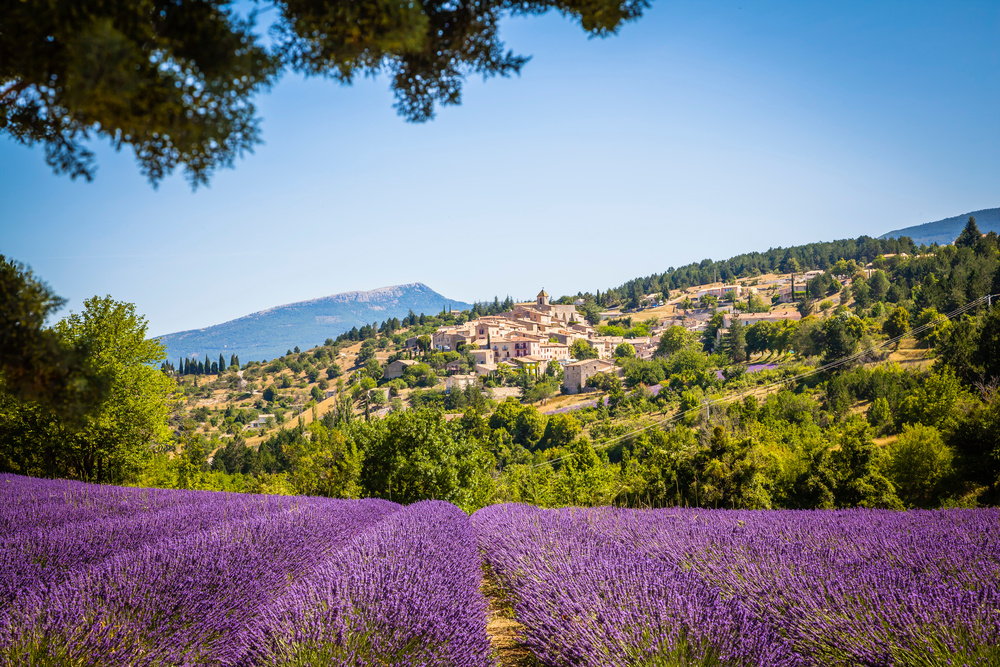 Village Aurel en Provence, lavande, France