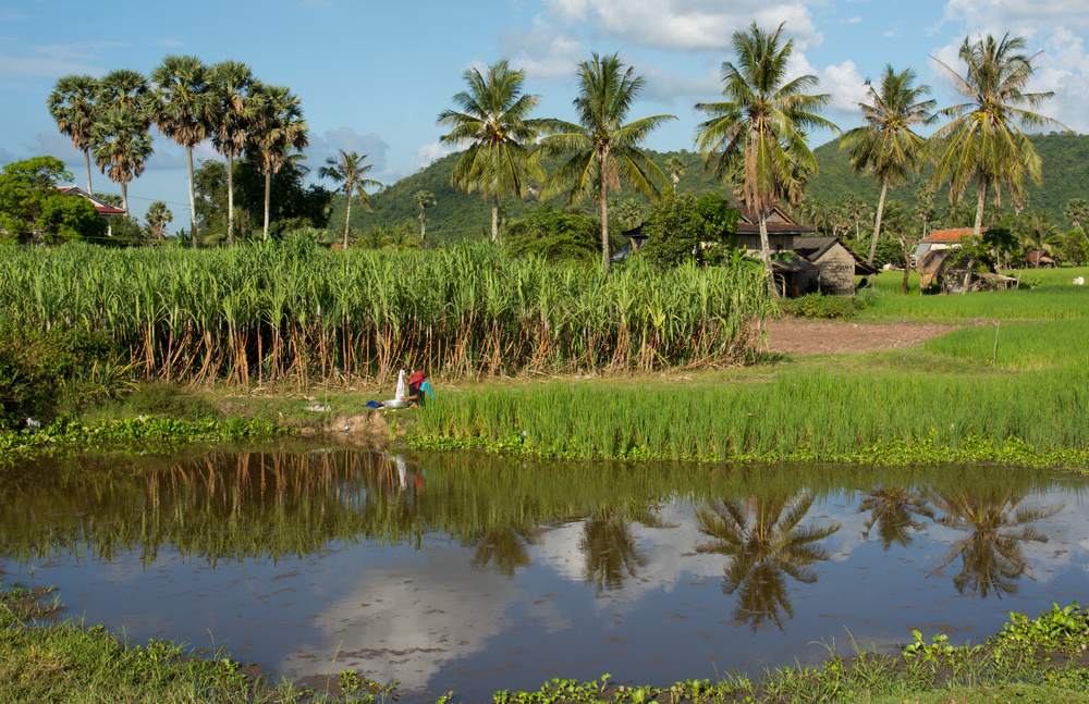 Ville de Battambang à la campagne, Cambodge