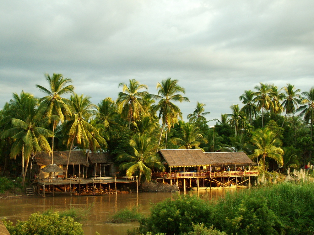 Paysage au Laos avec des palmiers