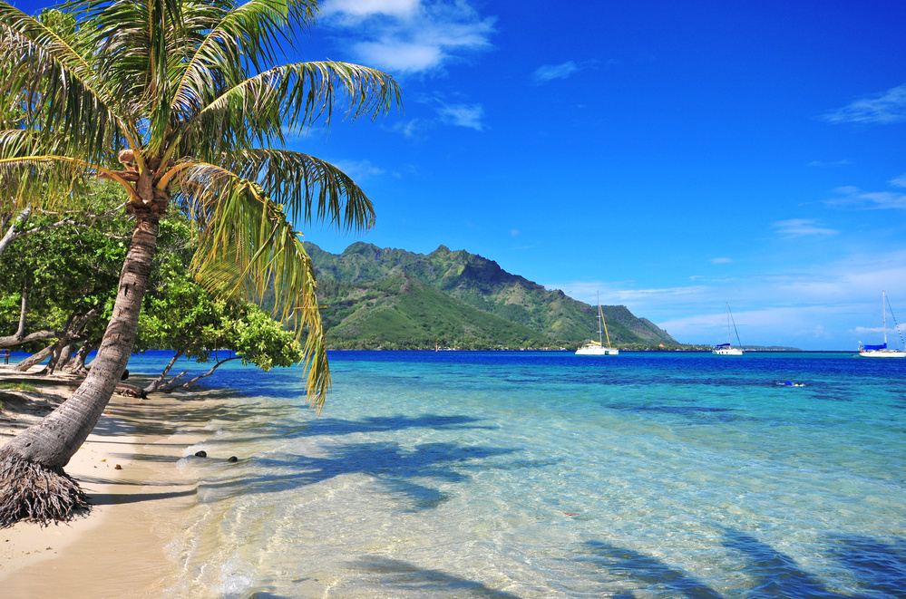 Vue sur la plage, Tahiti, Polynésie Française