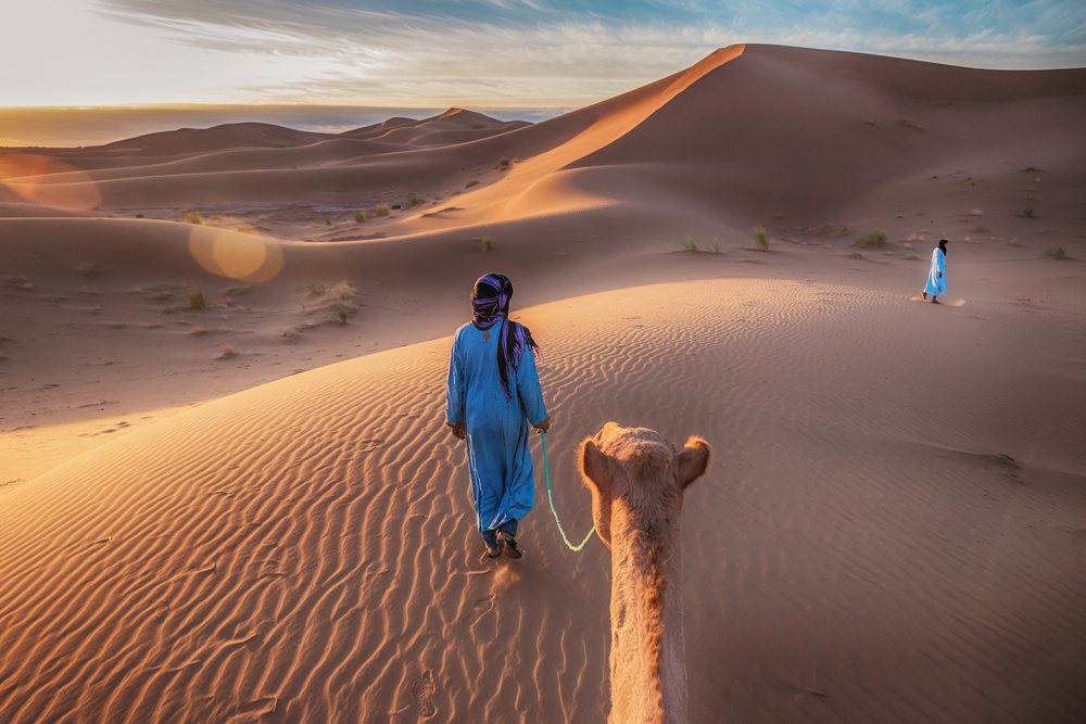 Chameau balade dans le désert du sahara, Maroc