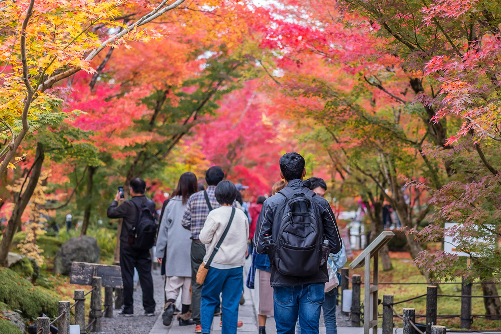 Groupe touriste visitant Kyoto, Japon